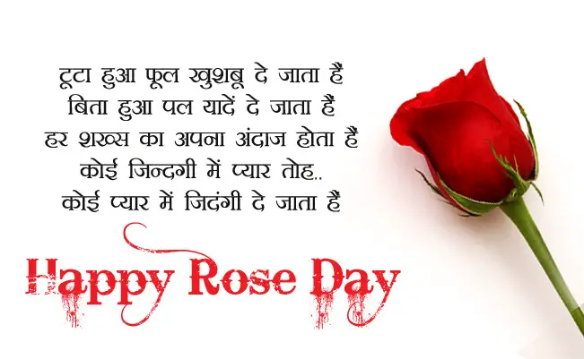 Happy Rose Day Shayari in Hindi, 7th Feb Wishes (हैप्पी रोज डे कोट्स स्टेटस)