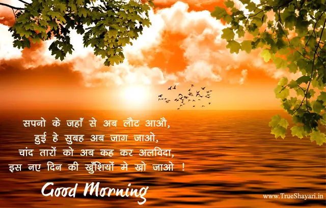 Good Morning Images in Hindi English (Shayari, Status & Wishes Quotes)