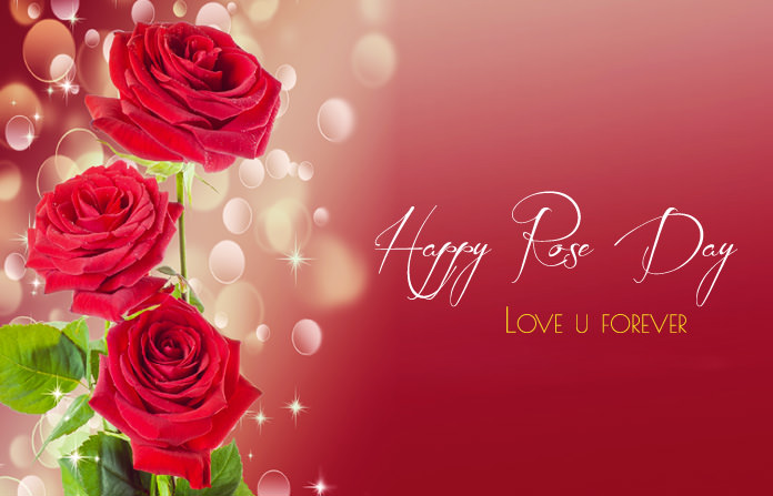 1st Day of Valentine Week Rose Day Pictures