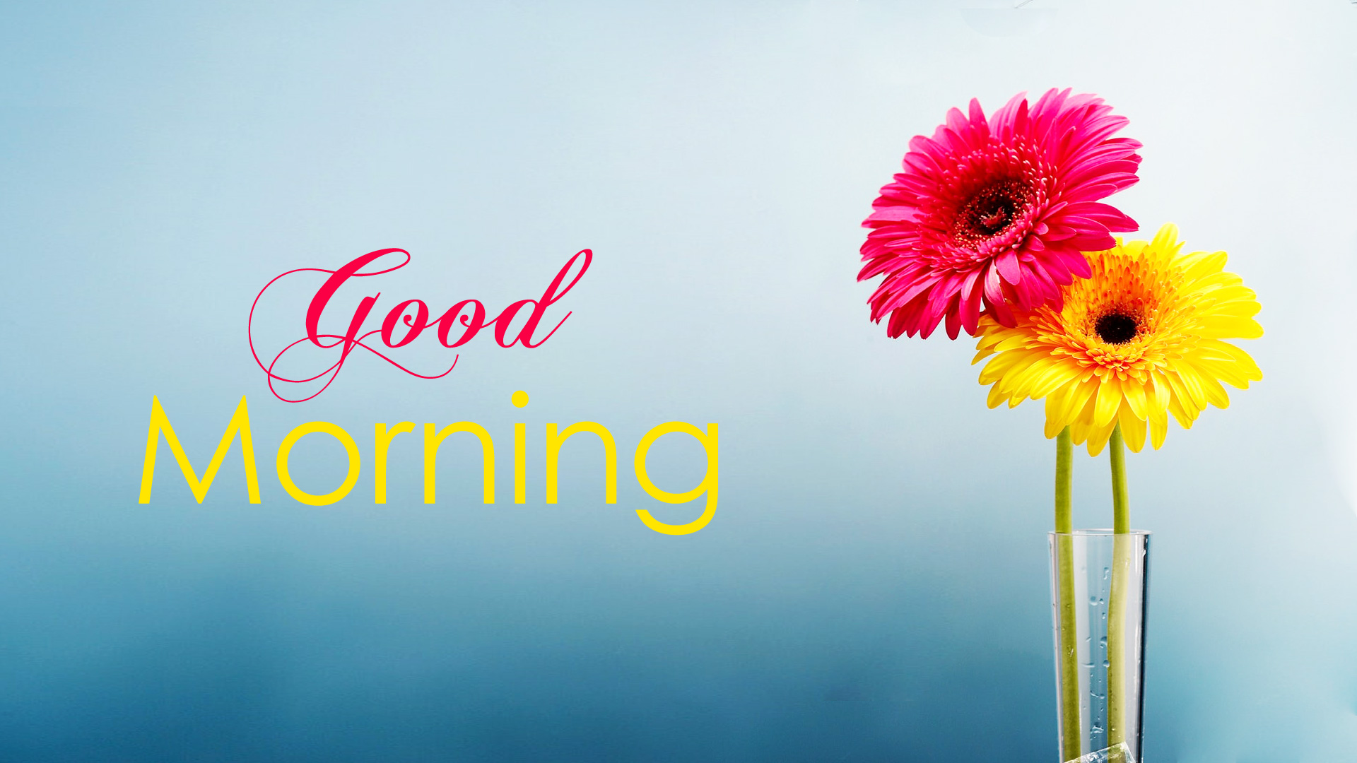 Good Morning Wallpaper with Flowers, Full HD 1920x1080 GM Images