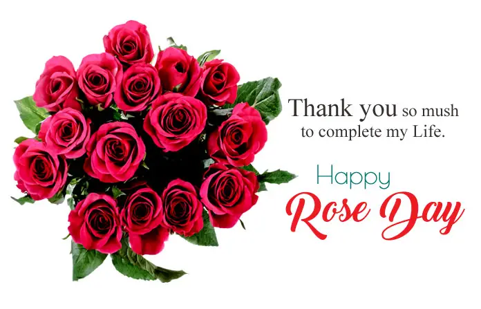 Rose Day Love Images
