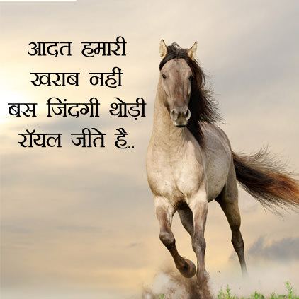 Horse Image in Hindi