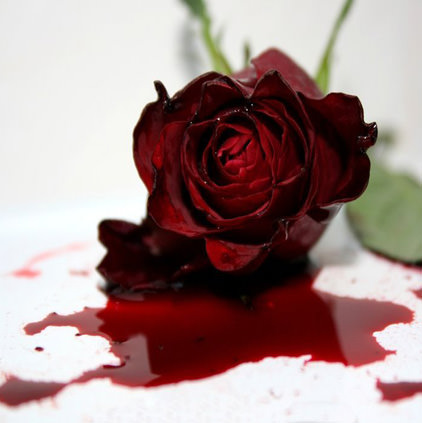 Bloody Rose