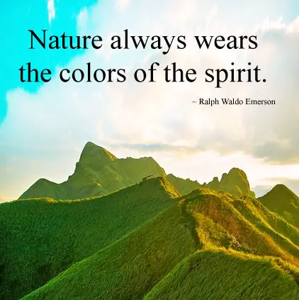 Quotes about Nature in the Image