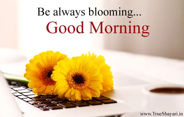 Be always blooming Flower Morning Wishes
