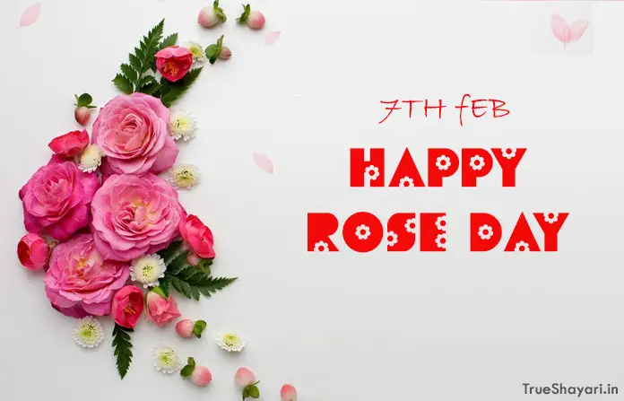 7th Feb Rose Day Photos