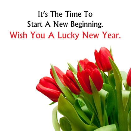 Red Tulip Flower with New Year Status Quote