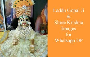 Laddu Gopal Images for Whatsapp DP