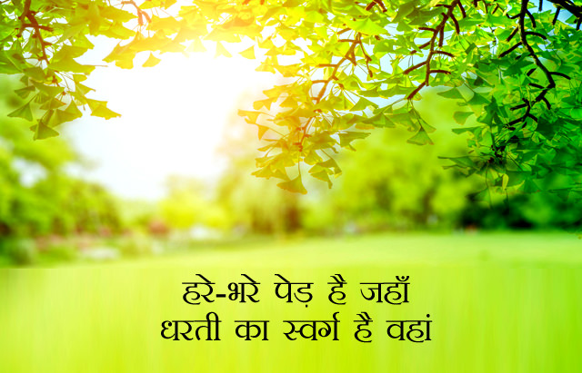 Hindi Nature Status about Hare Bhare Ped