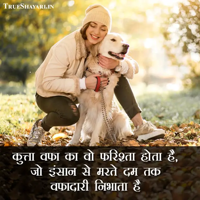 Dog Love Shayari & Facts Status, 2 Line वफादार कुत्ता हिंदी स्टेटस
