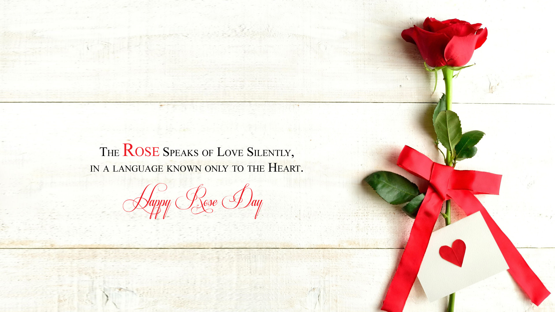 7th Feb Valentine Rose Day Wallpaper