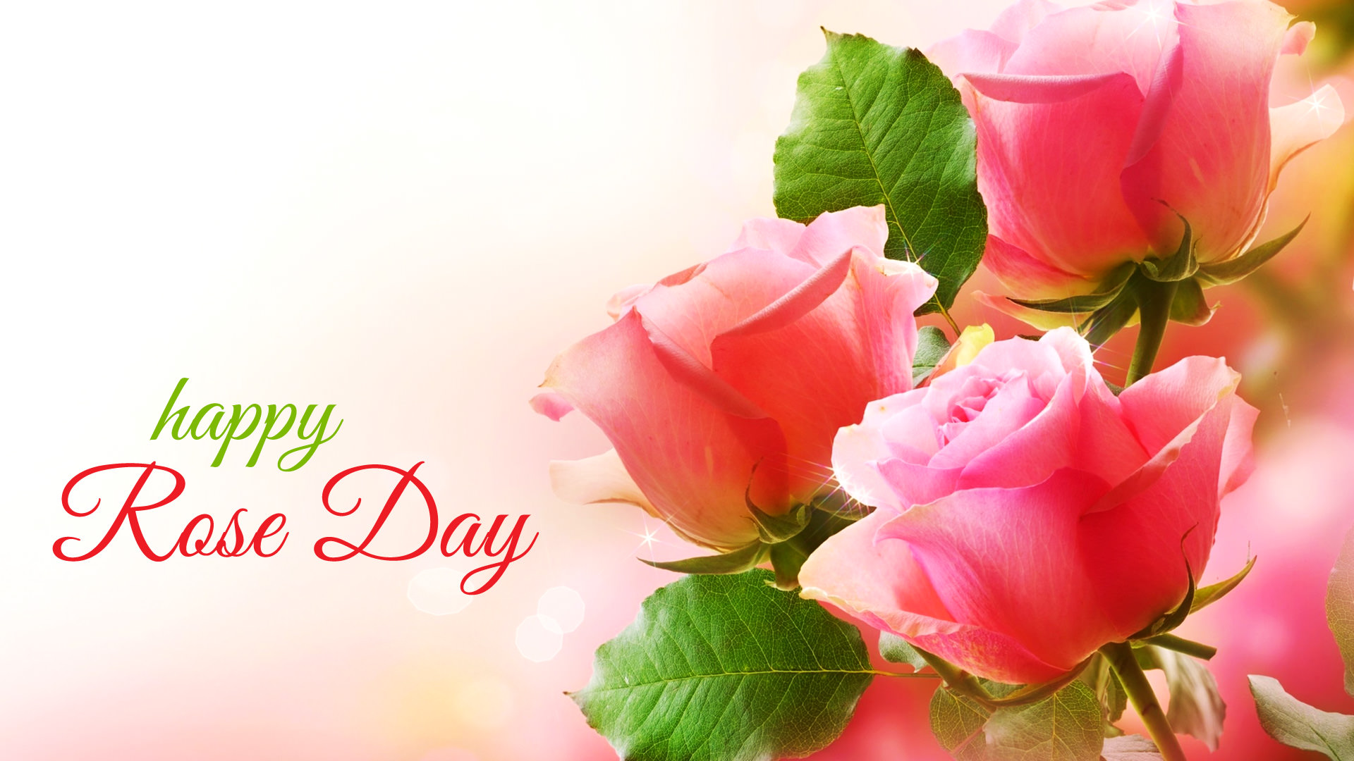 Happy Rose Day Pink Flowers