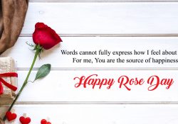 Rose Day Wallpaper Quotes 1920x1080