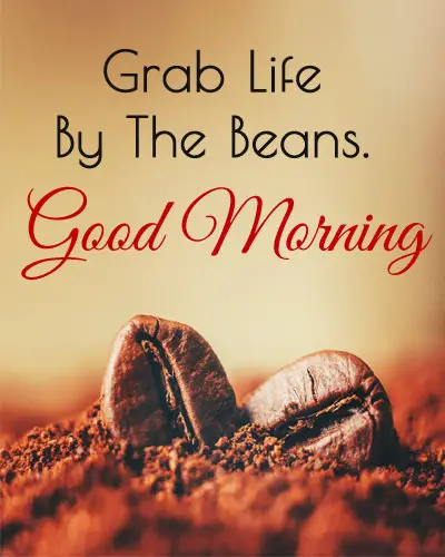 Beans Quote GM Image