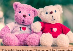 Teddy Day Quotes