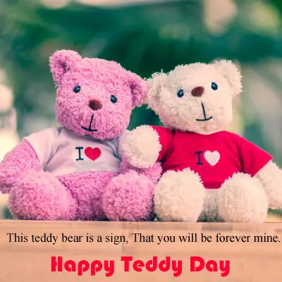 Quotes boyfriend teddy bear Teddy Day