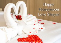 Happy Honeymoon Love Shayari and Status Quotes Messages